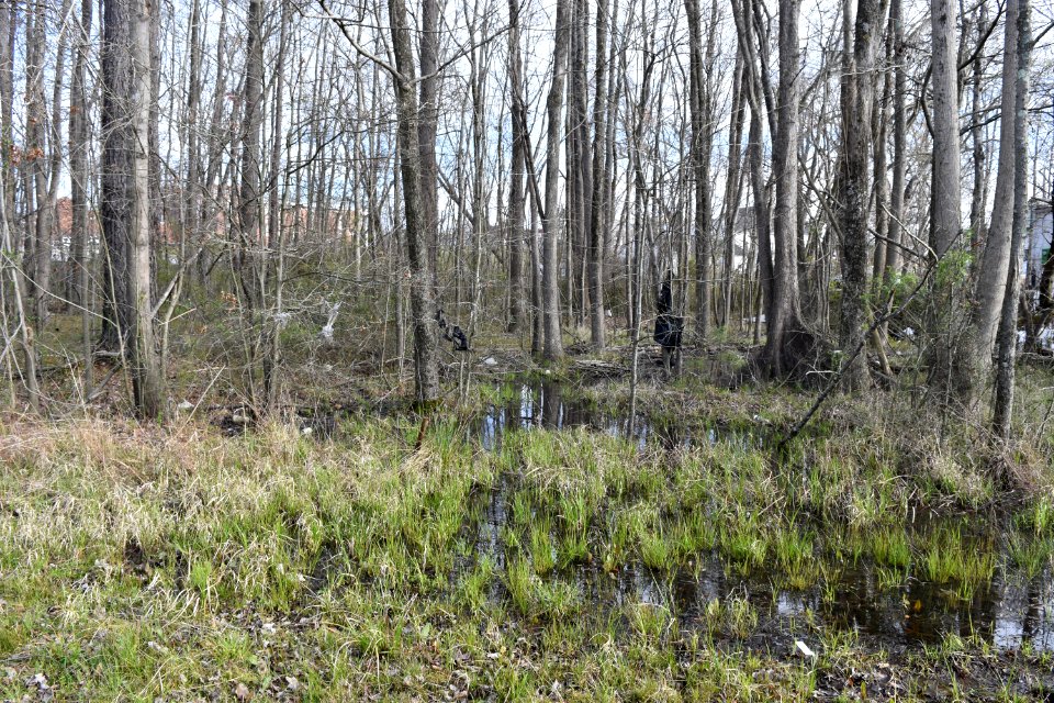 stoney crk env park ncwetlands AM (8)