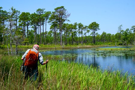 scene scientist patsy's pond croatan NF KG (62)