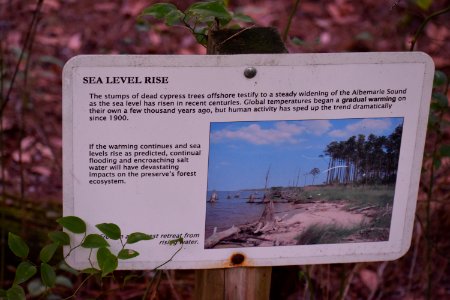 sign palmetto peartree preserve ncwetlands am (6)