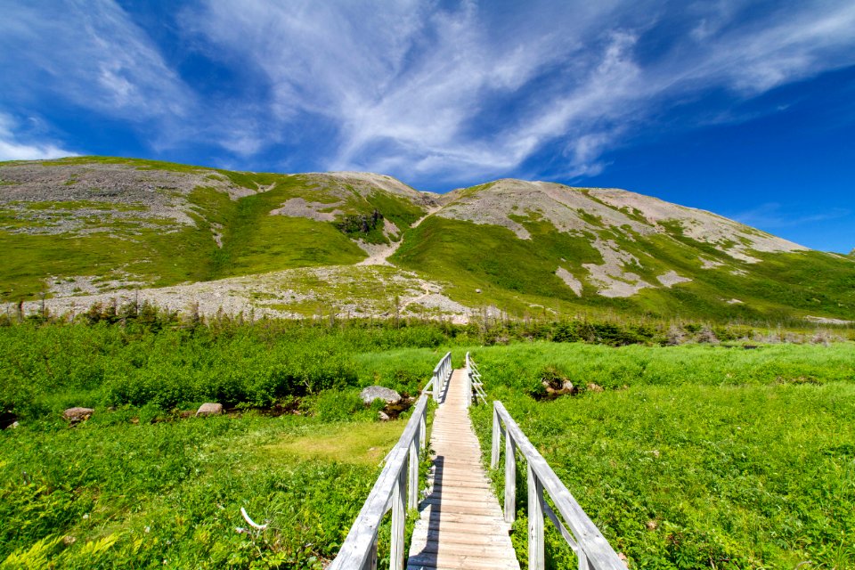 trail up to Gros Morne summit