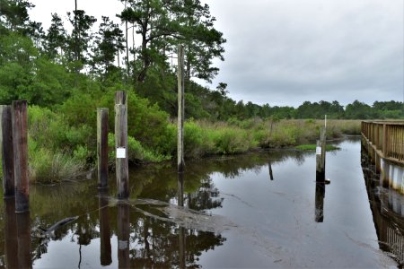 joe himbry waterfront park ncwetlands am (4)