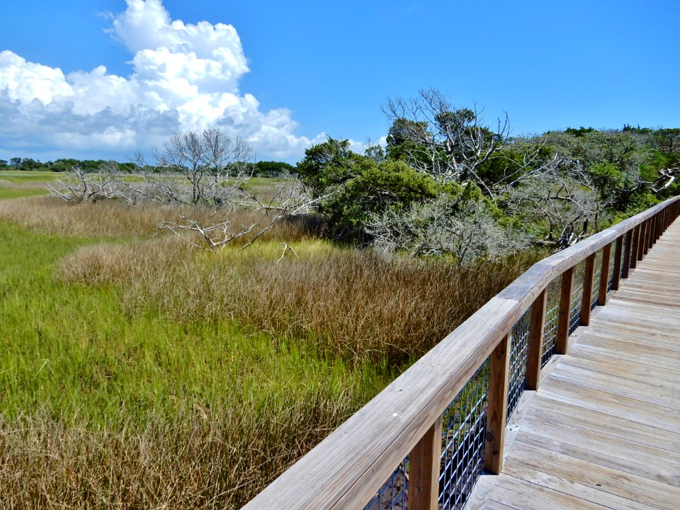 scene boardwalk Fort Macon State Park ncwetlands KG (8)