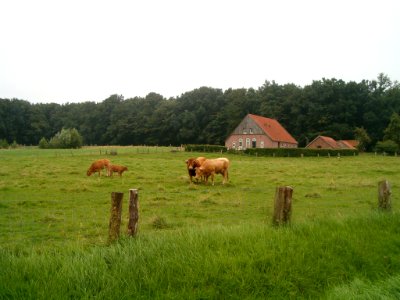 Oldenzaal