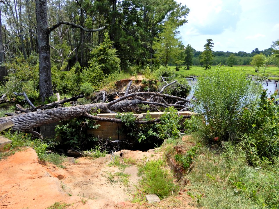 scene breached dam Hawkeye Indian Center ncwetlands KG (4)