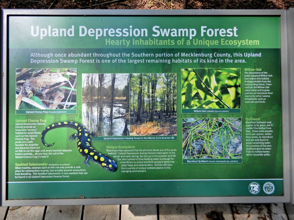 sign Flat Branch NP ncwetlands KG (8)