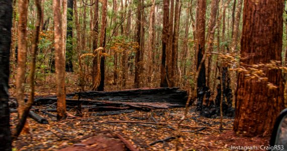 Fraser Island-10 photo