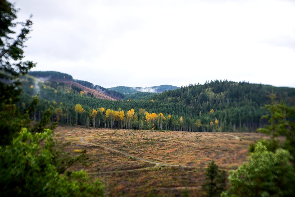 Near Mt. Rainier national park 3