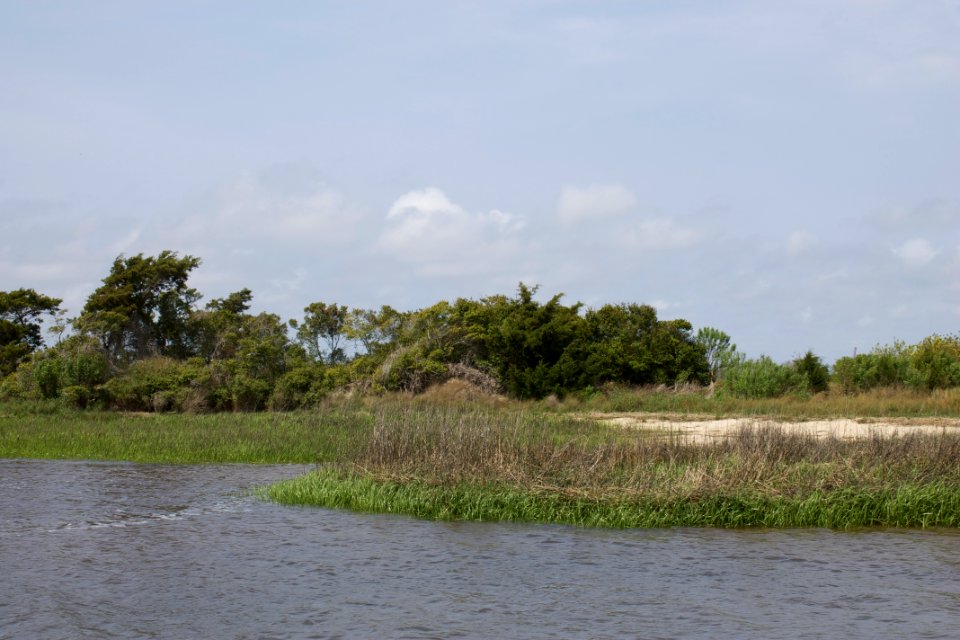 scene Zeke's Island Reserve NC Coastal Reserve