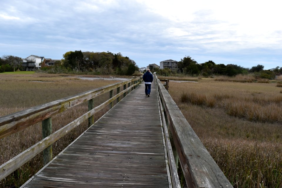 scene Oak Island SE 9th St ncwetlands AM (32)