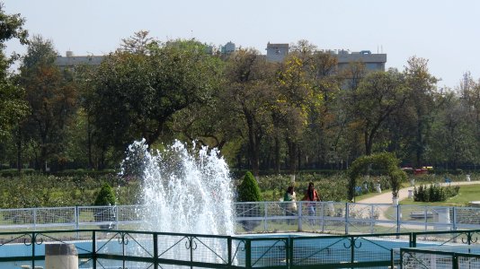 Chandigarh Rose Garden