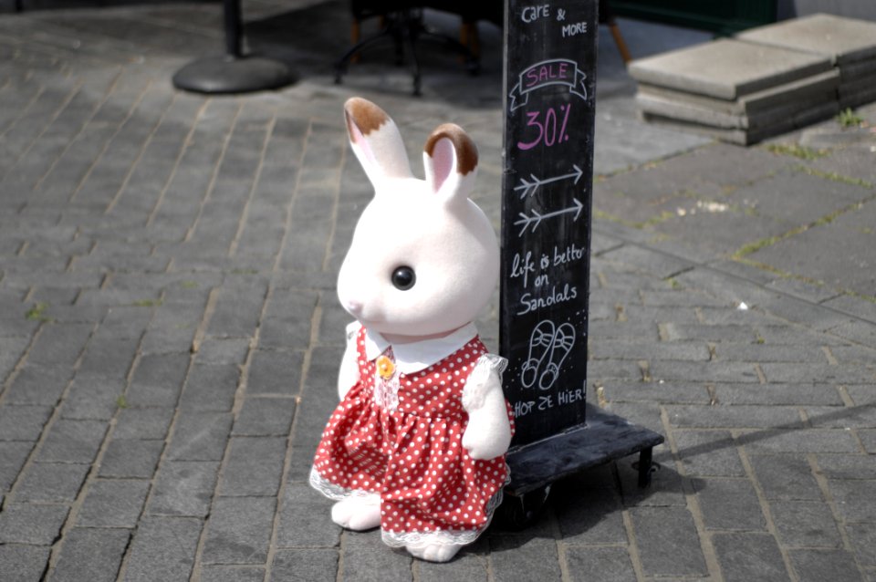 Bunny