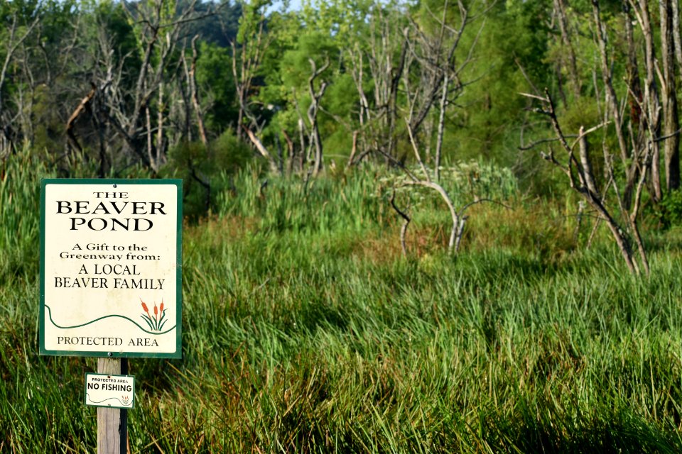 sign Wesley's Park ncwetlands AM (5)