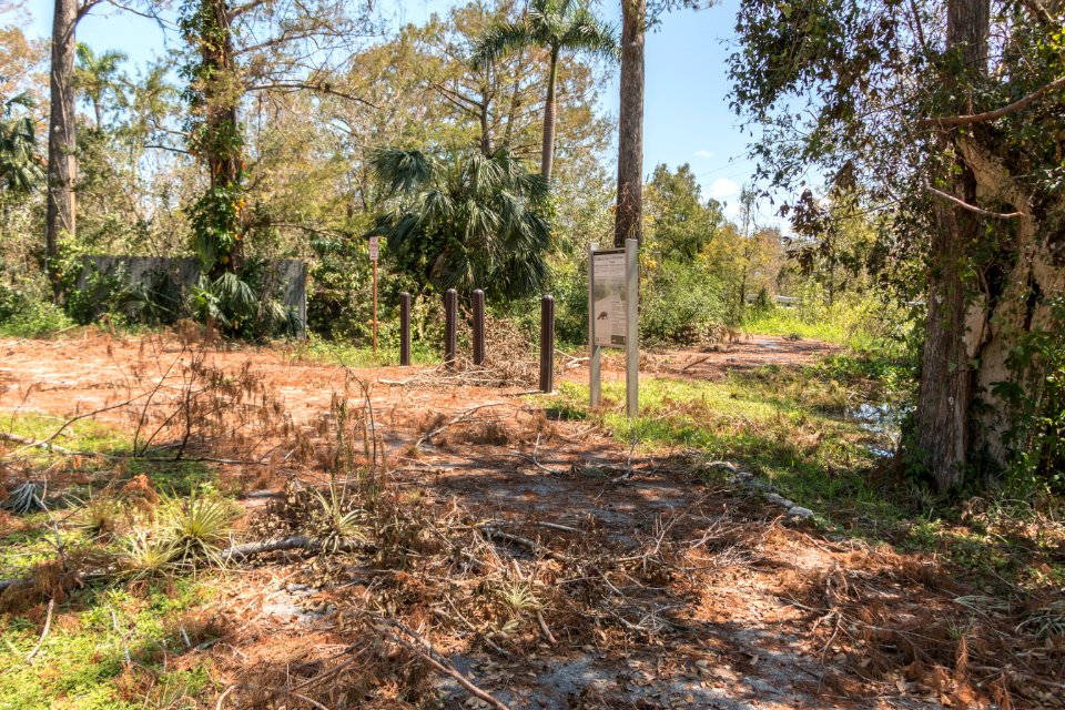 091517 BigCypress 05