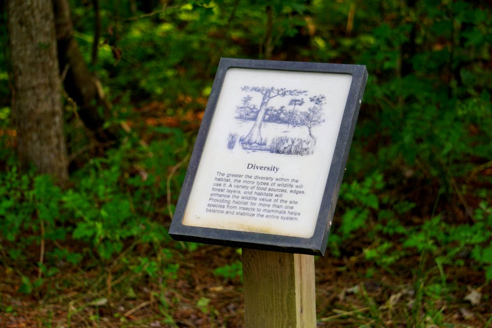 sign Alligator River NWR ncwetlands KG (5)