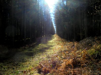 Puy de Paugnat 4