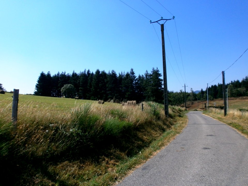 P7250272