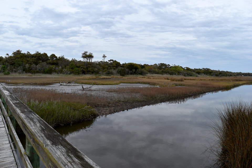 scene Oak Island SE 9th St ncwetlands AM (33)