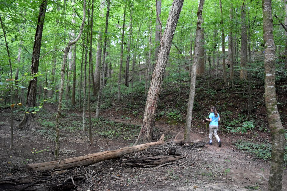 people swift creek bluffs ncwetlands AM (10)