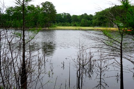 scene carvers creek SP KG (8)