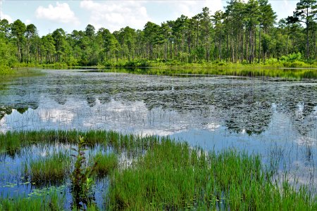 scene cameron's lake sandhills gml KG (10)