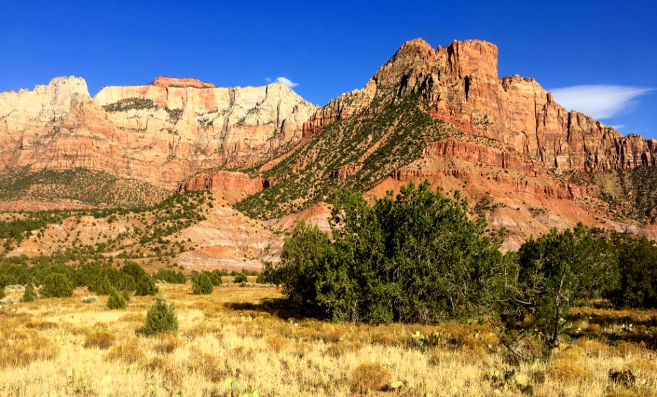 Zion from the Chinle Trail