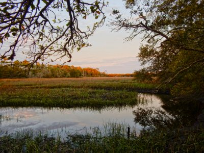 scene bill smith park ncwetlands KG (6)