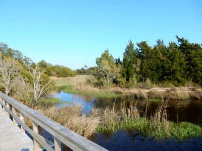 scene marsh River Road park ncwetlands KG (1)