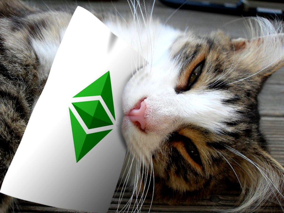 Ethereum Classic Wallpaper - Tiger Cat
