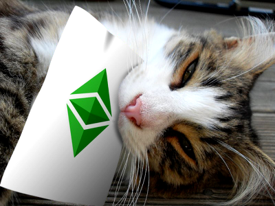 Ethereum Classic Wallpaper - Tiger Cat photo