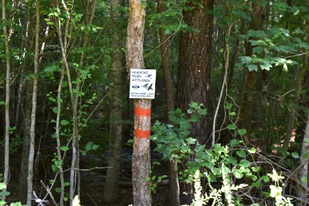sign Lower Roanoke River Wetland Game Lands ncwetlands AM (1)