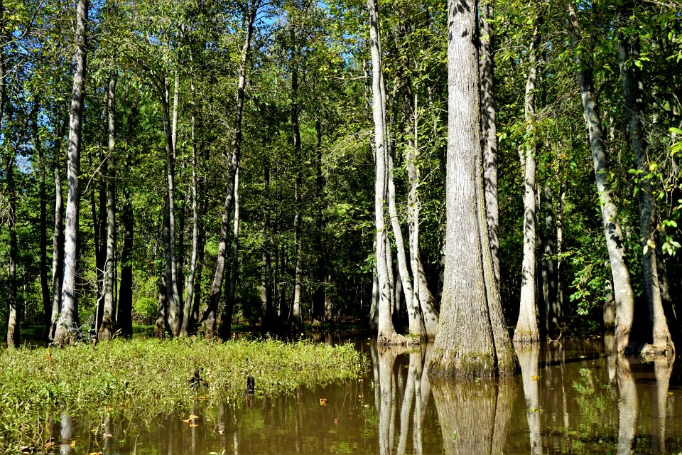 scene Buckhorn Reservoir KG (428)