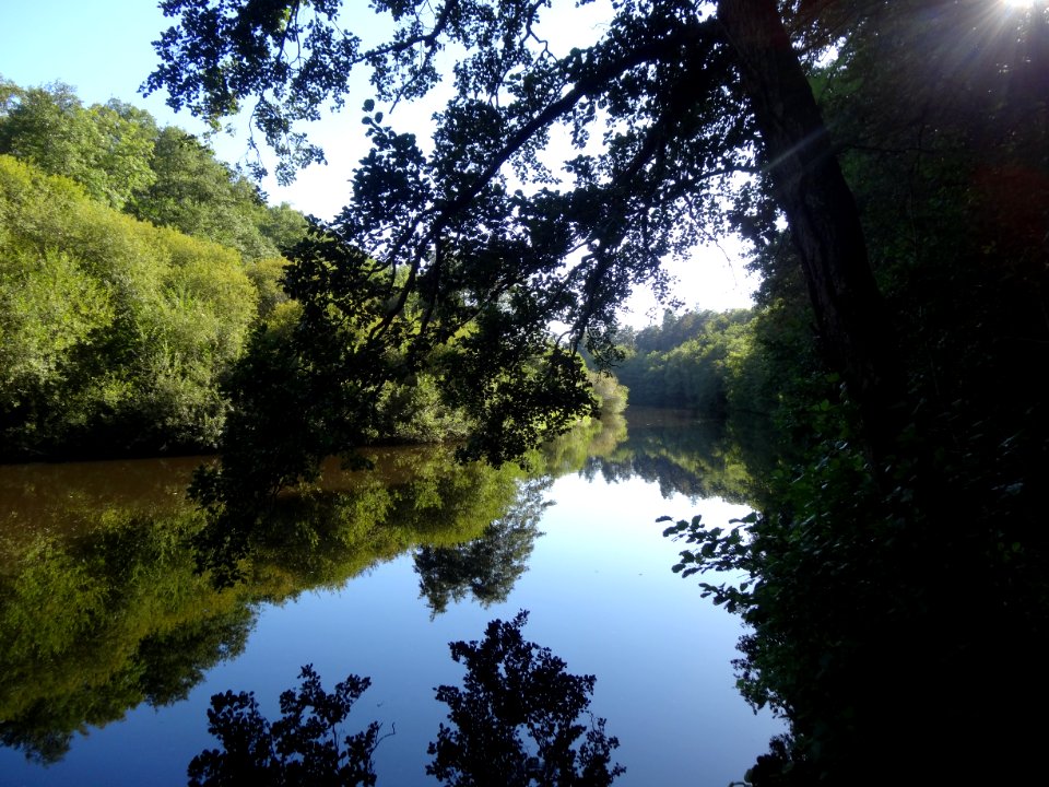 La Gartempe à Châteauponsac