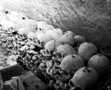 Fontanelle Cemetery | Napoli