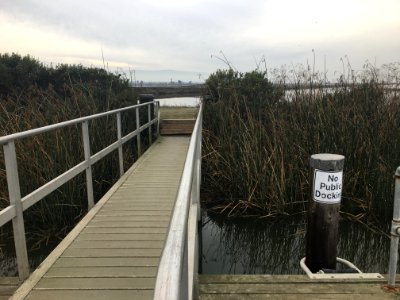 KingTide AlvisoEEC Jan2018 1