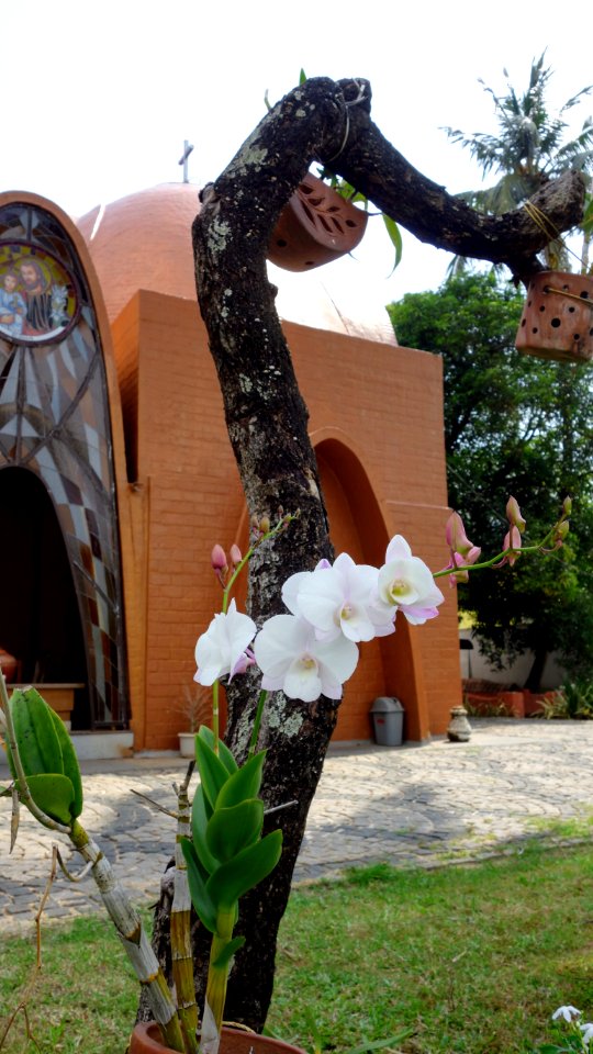 Koonankurishu Theerthadana kendram