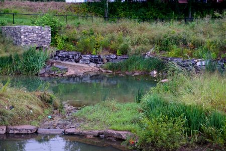 Blum Park constructed wetland ncwetlands KG (7)