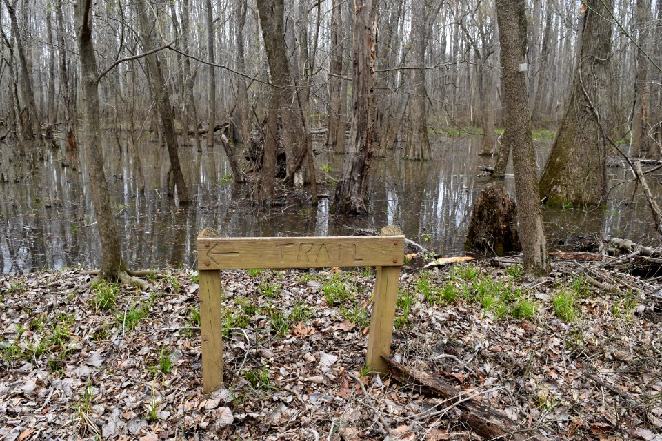 sign Phil Carroll NP ncwetlands AM (3)