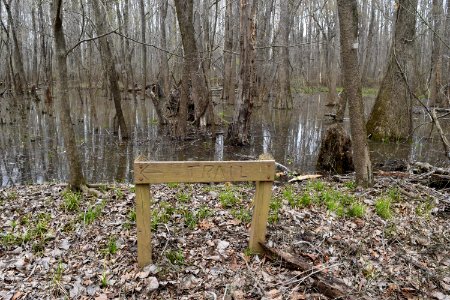 sign Phil Carroll NP ncwetlands AM (3)