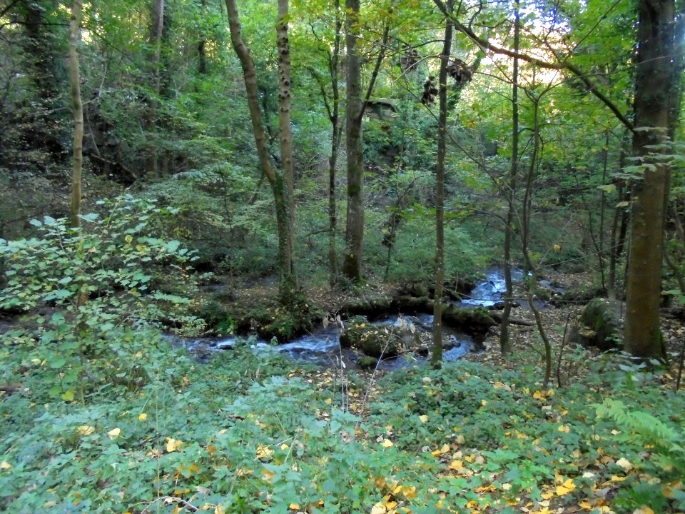 La Tiretaine et ses lavoirs