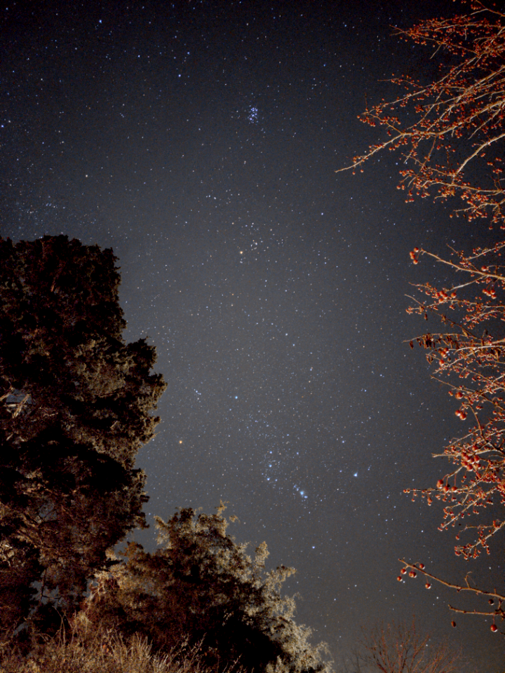 PXL 20201114 033401580.NIGHT
