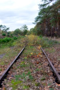 Nature claimed railway