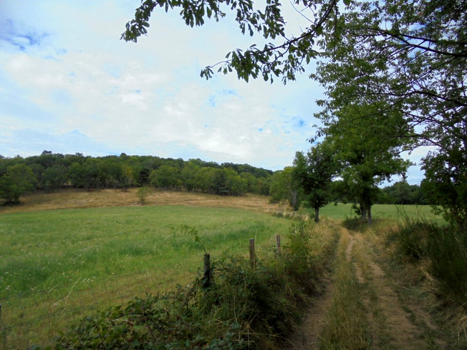 Chamalières - voie romaine (9)