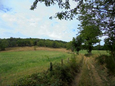 Chamalières - voie romaine (9)
