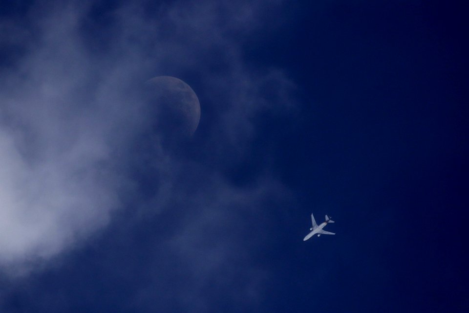 IMG 7248