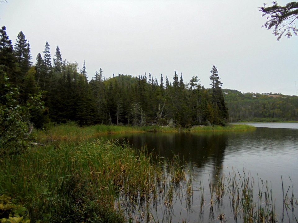 Tadoussac et ses environs