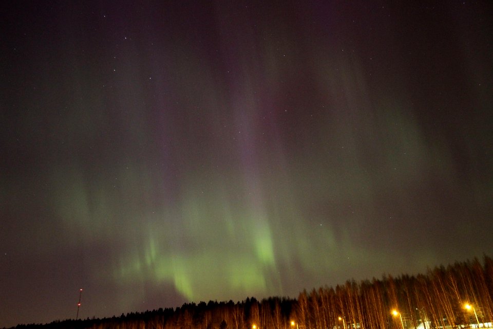 The auroras did not know what to do  ;)