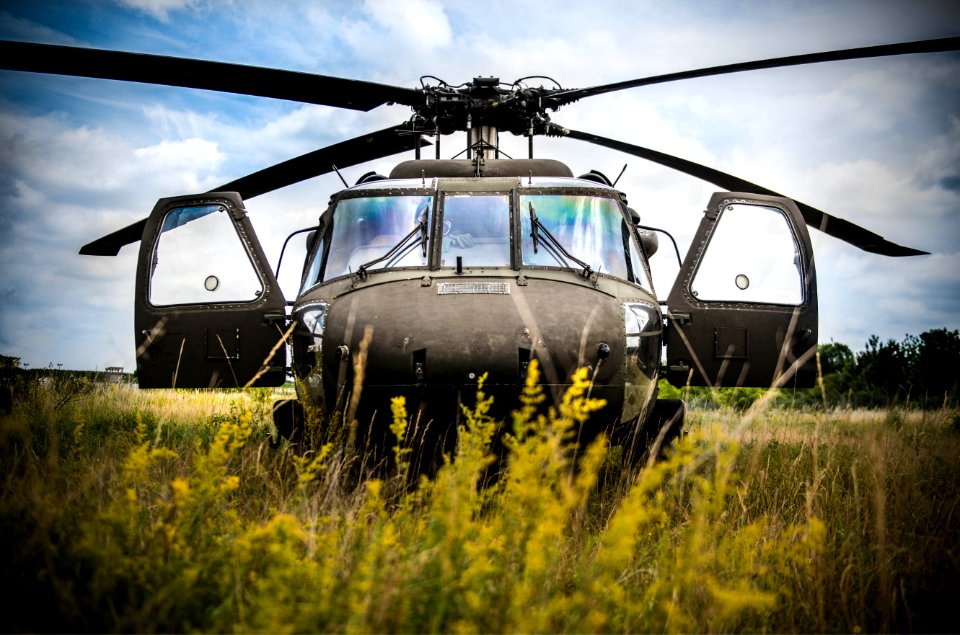 Black Hawk at Rest