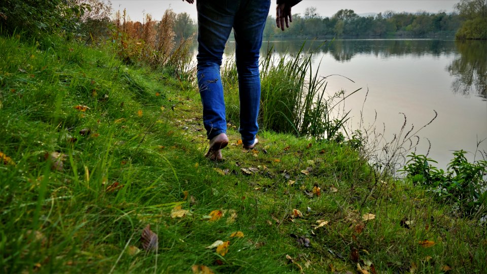 Herbst Autumn Fall