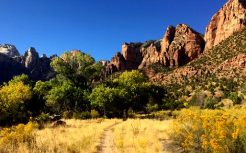 Zion Canyon
