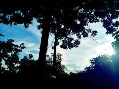 DevtitaArt Papua